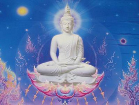 ����Թ�ף�����ɶ񣬲�������