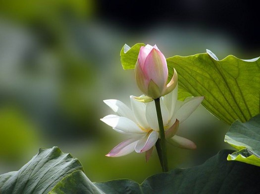 �ſ��ֽ�Ҫ��ô��