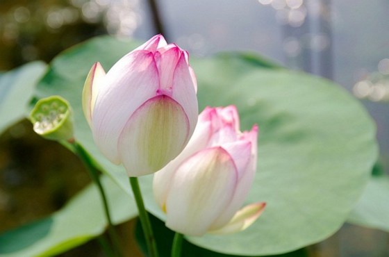 ���²������ң���ϲһ�й���