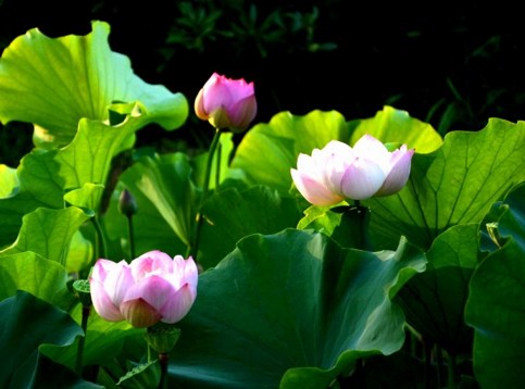 ��̵���й�