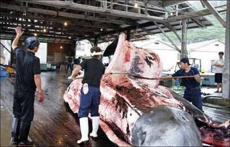 ɱ�������¸�������ǰ���ĸ�����Ե