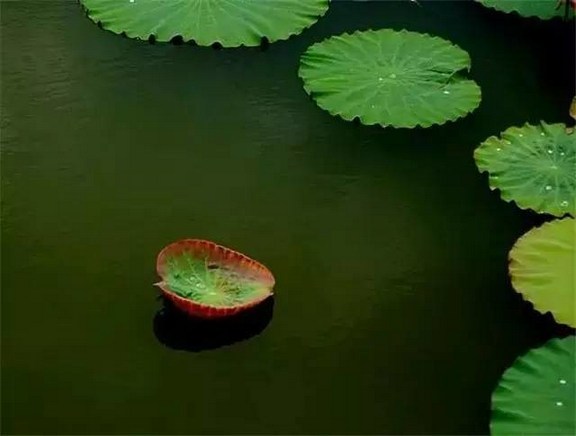 һ�����Ƿ����ǻۣ��ɴ����ĵ����ж�