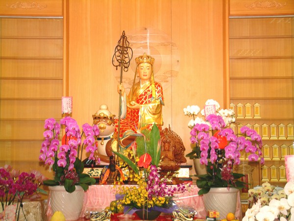 ��θеõز��������Ը����ܽ�