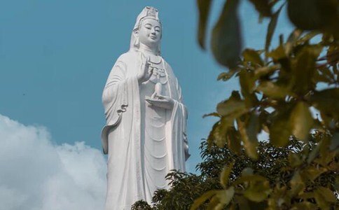 �������ڶϳ�̰��������