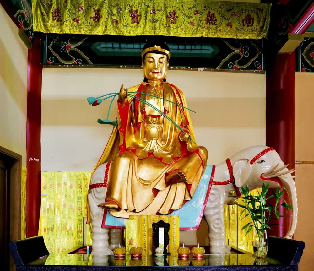 ��������һ����������