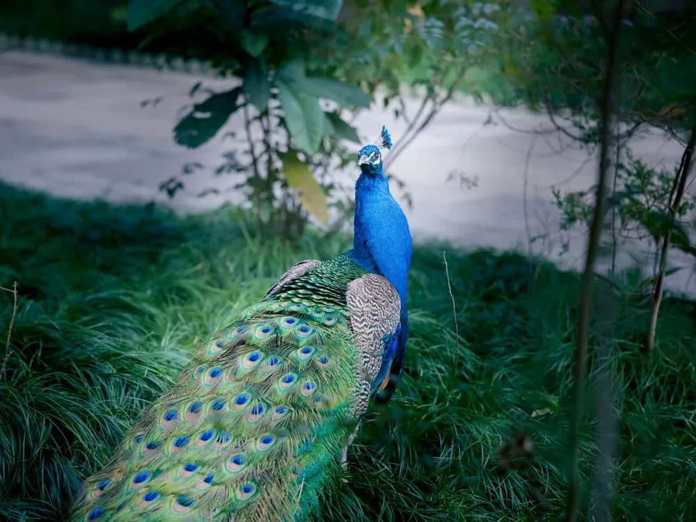 �޷�ʱ�����벻��ת�ļ�������