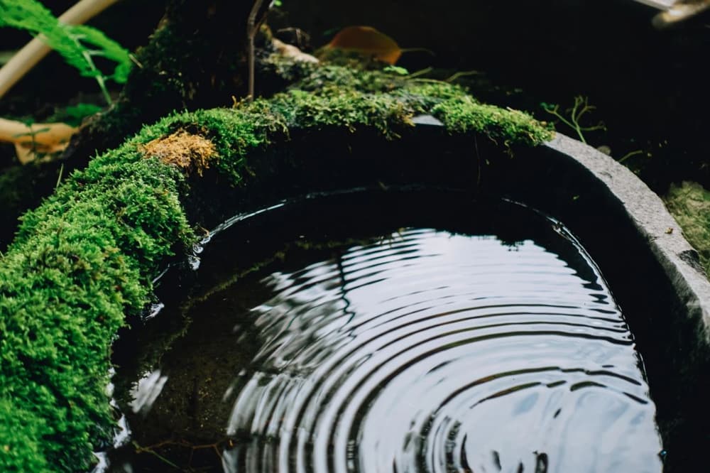 �ӵ���������