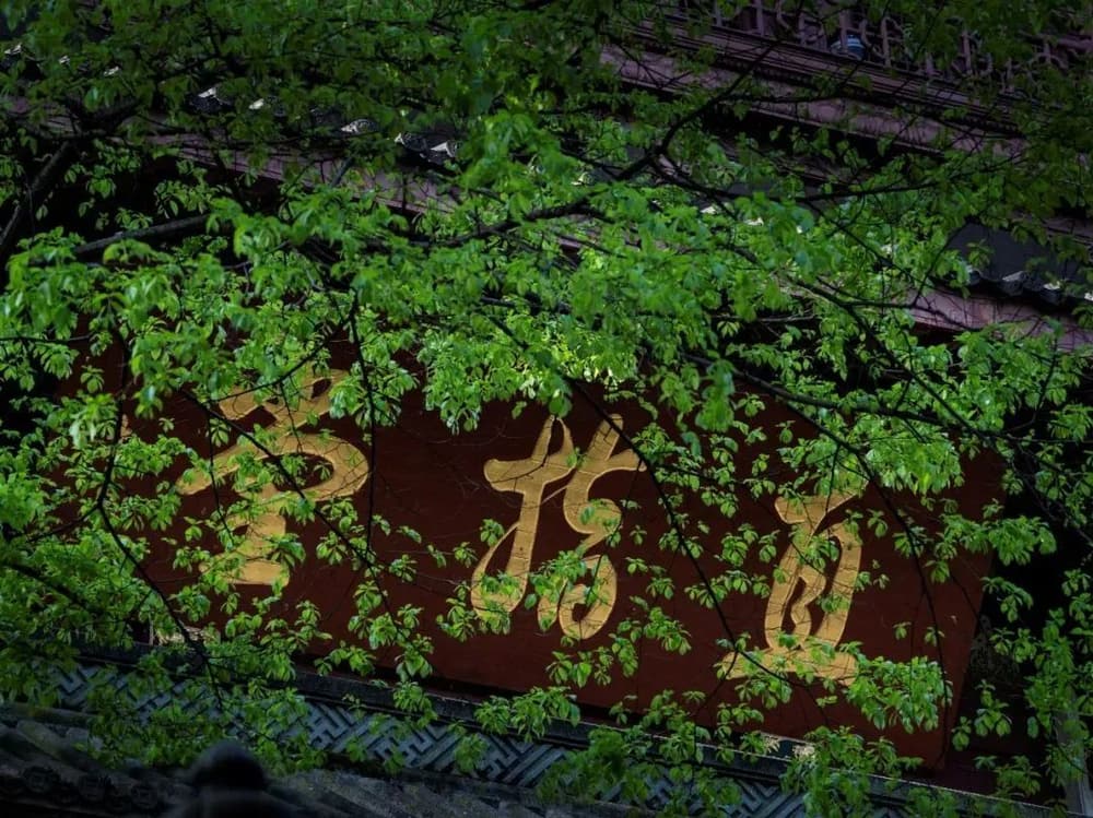 欲度众生,当除其烦恼