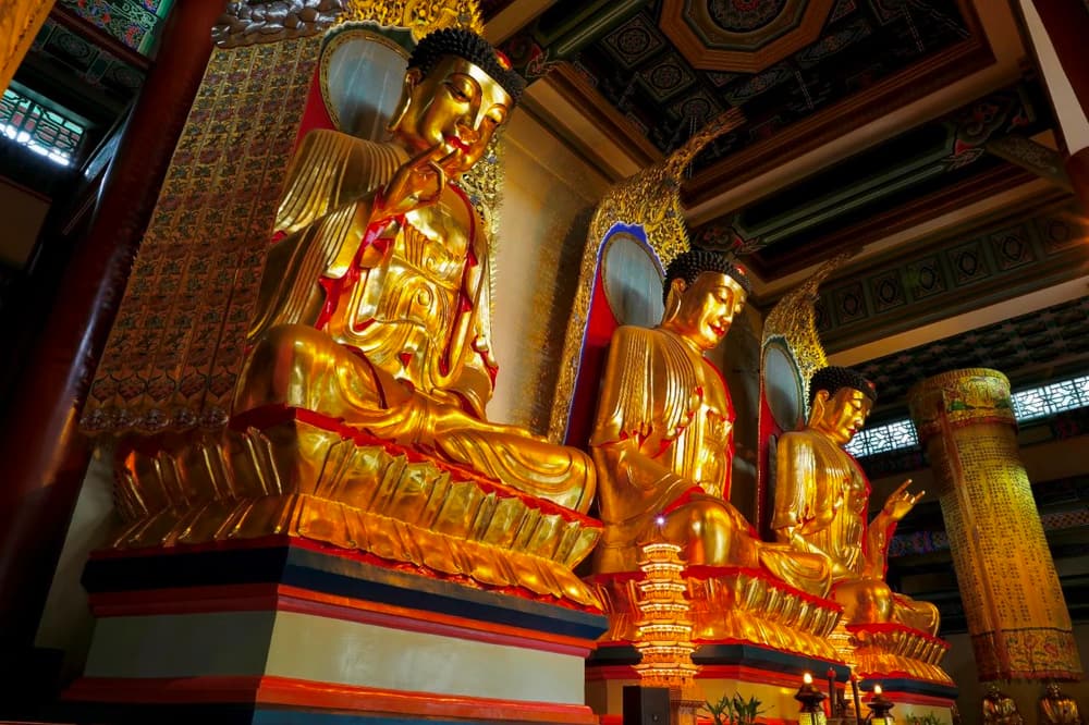 ���������ǻ۵�һ����������