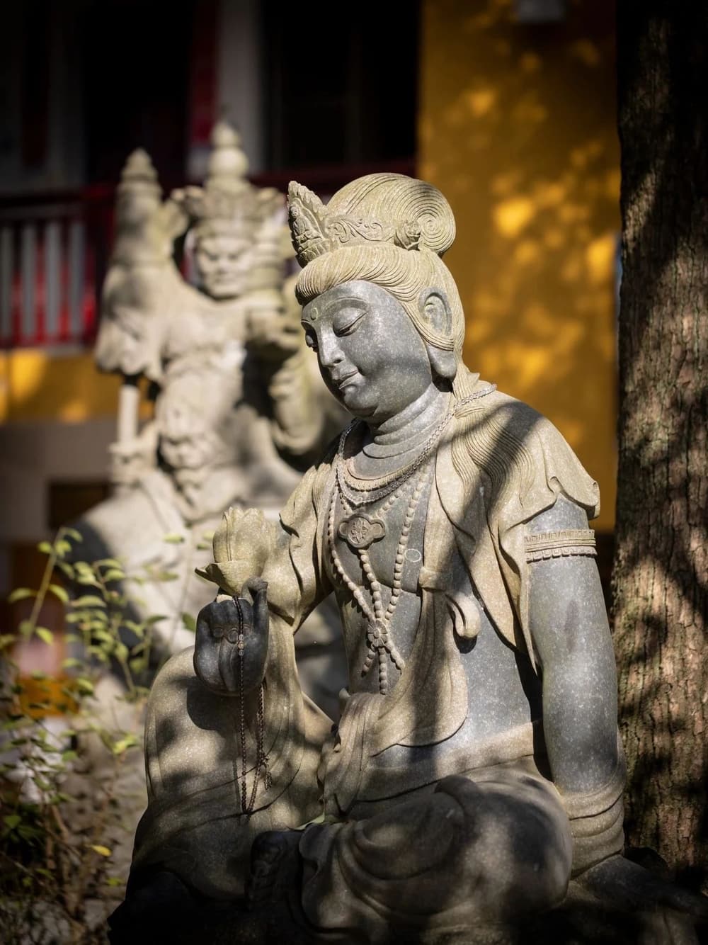 ��������������