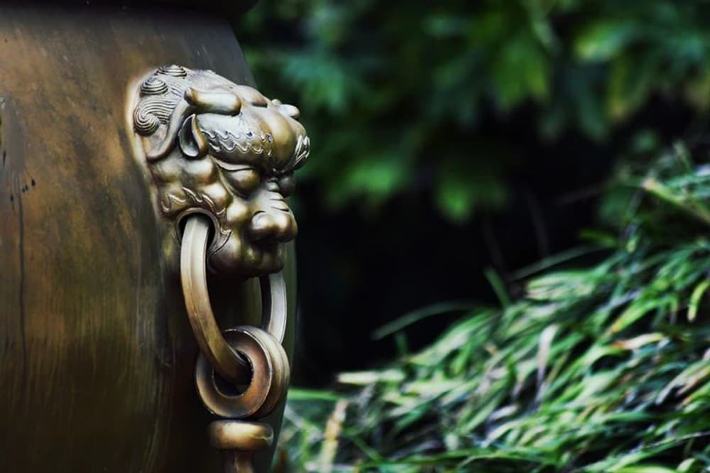 ��������ͷ¿�Ĺ��£���Ͳ����ٱ�Թ��ɧ��