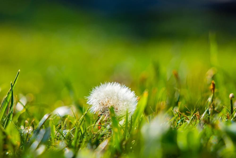 �����һ���˲���飬�����ֲ���о��¶�