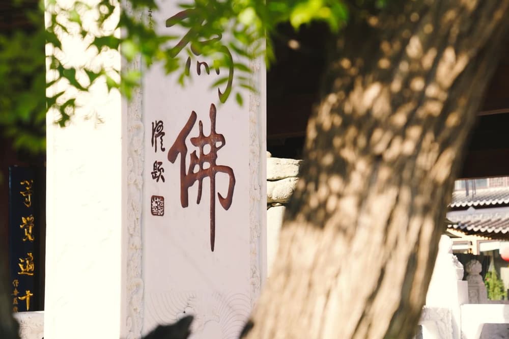 ������ա��֣���ôȥ����ȥ�Ӵ���