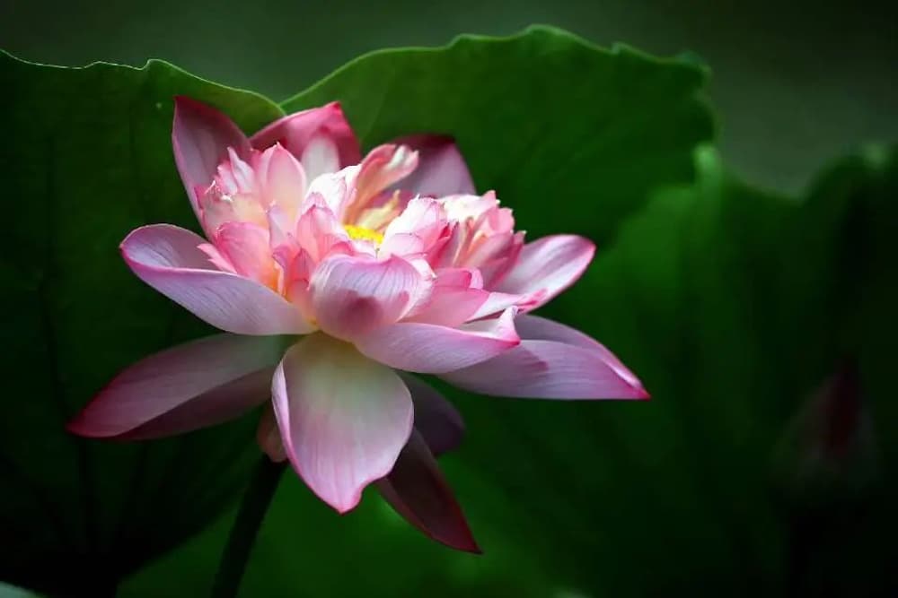 ����������������