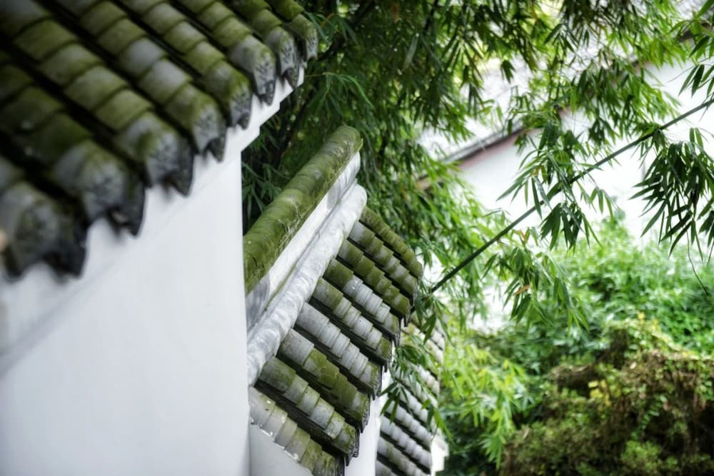 �޳��仵֮��