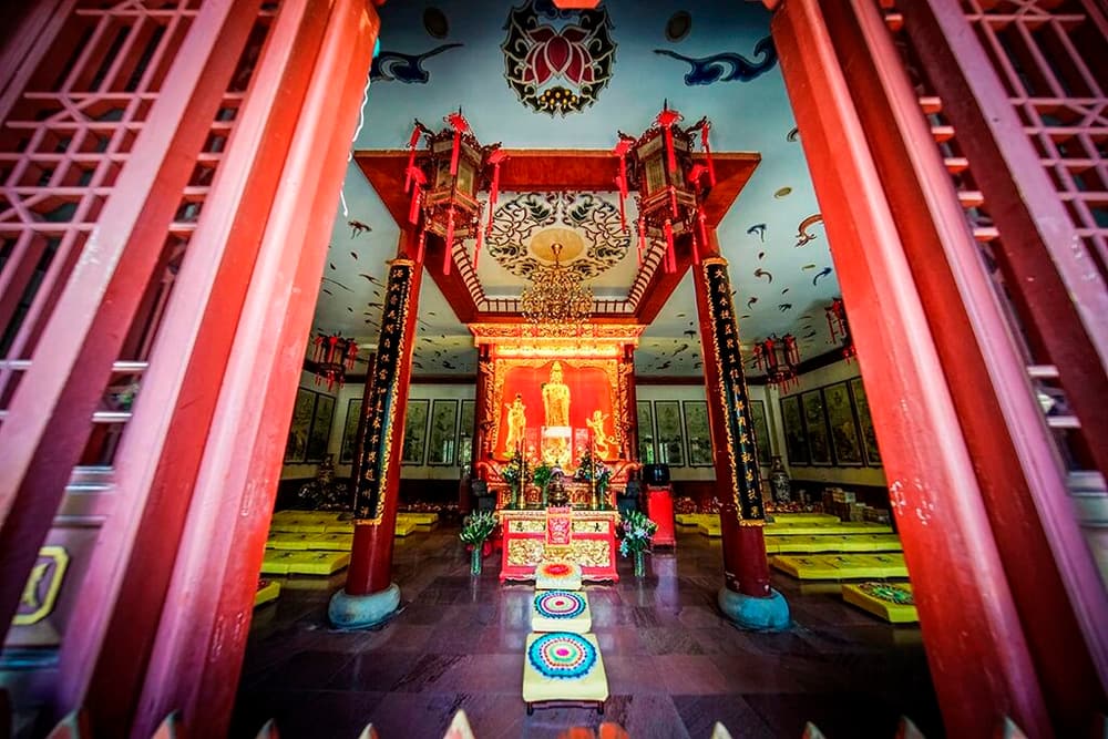 ��Щ�����˶��ǹ���������ʾ�ֵ�