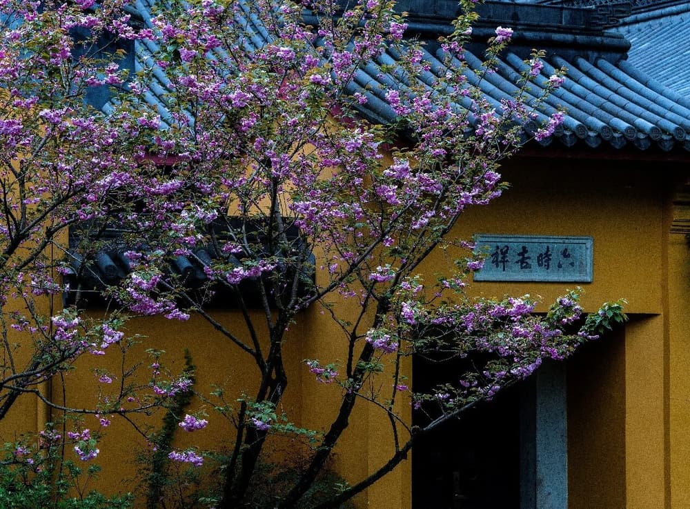 所谓「法空」,是什么道理呢