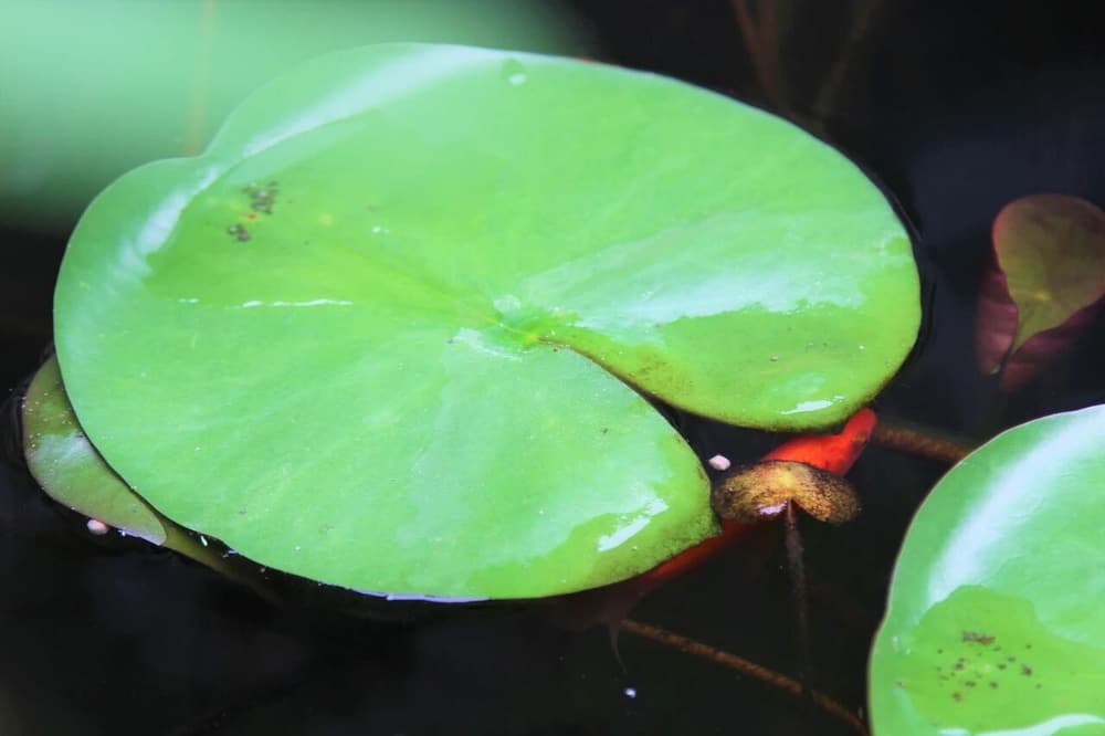 ����û�д������������Ե��