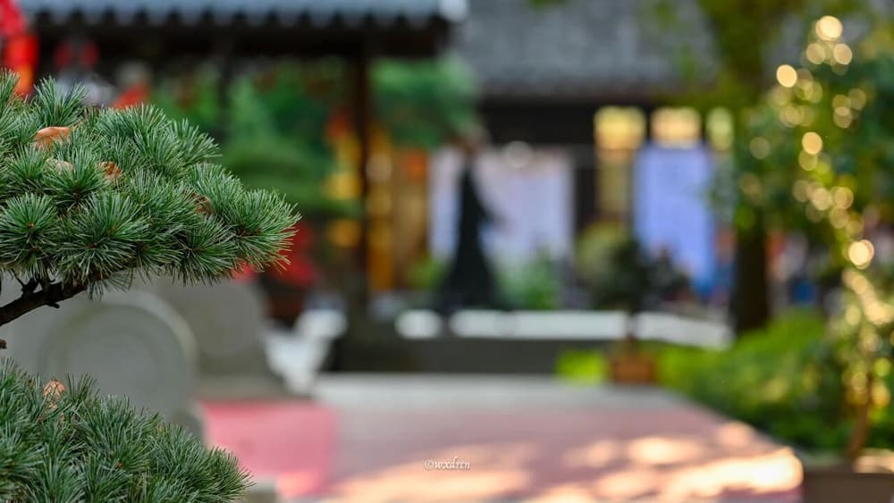 �_�ĵ�ԭ��Σ�����뻯�ⷽ��