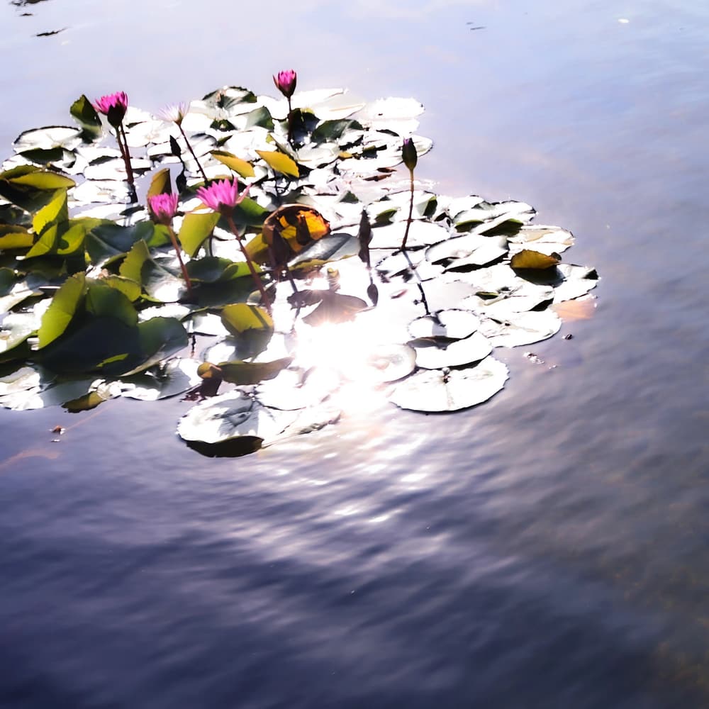 ��һҹ��ʱ�����������ɰ����ӷ����