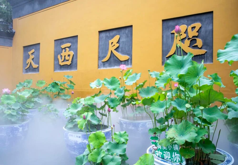 Ϊ��˵������������徻����