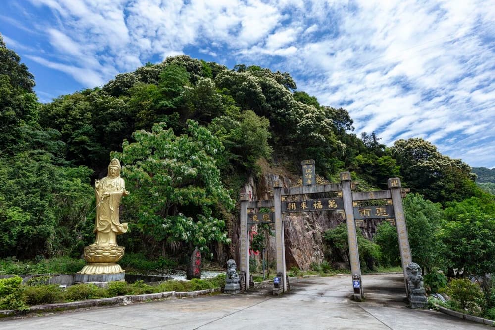 ��ɢ������������