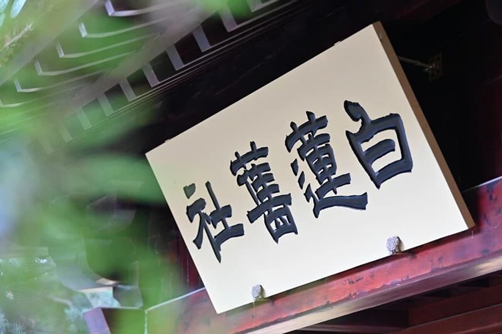 ������ʥ��¼����������