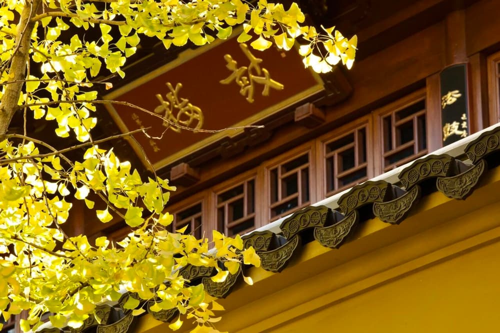 �������ӳ�������Ϊ����˵���ķ�ʽ