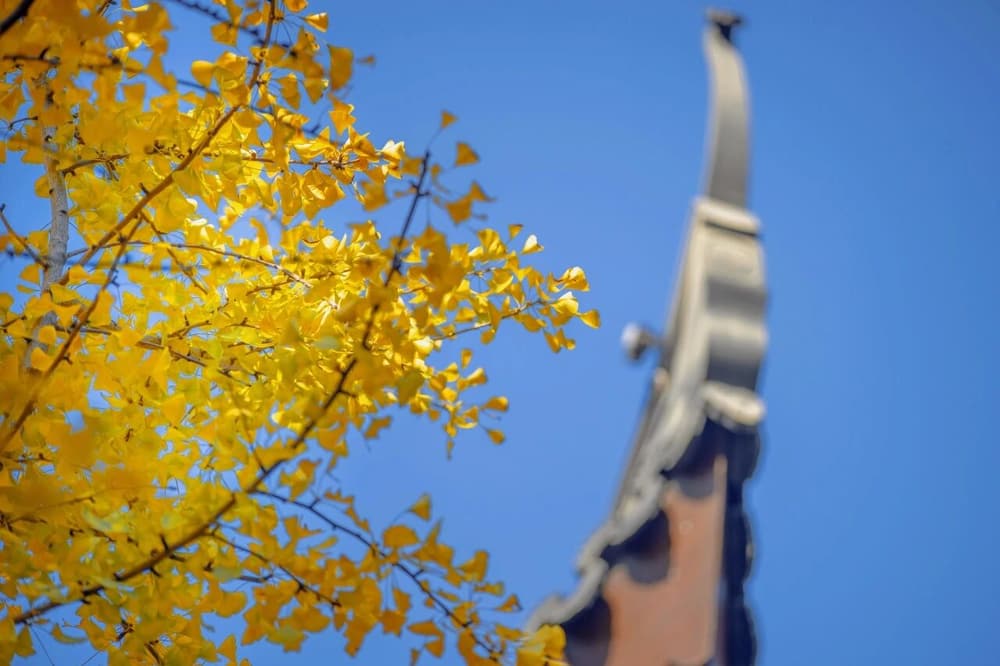 ����֤��ʥ�ˣ����кܴ�����