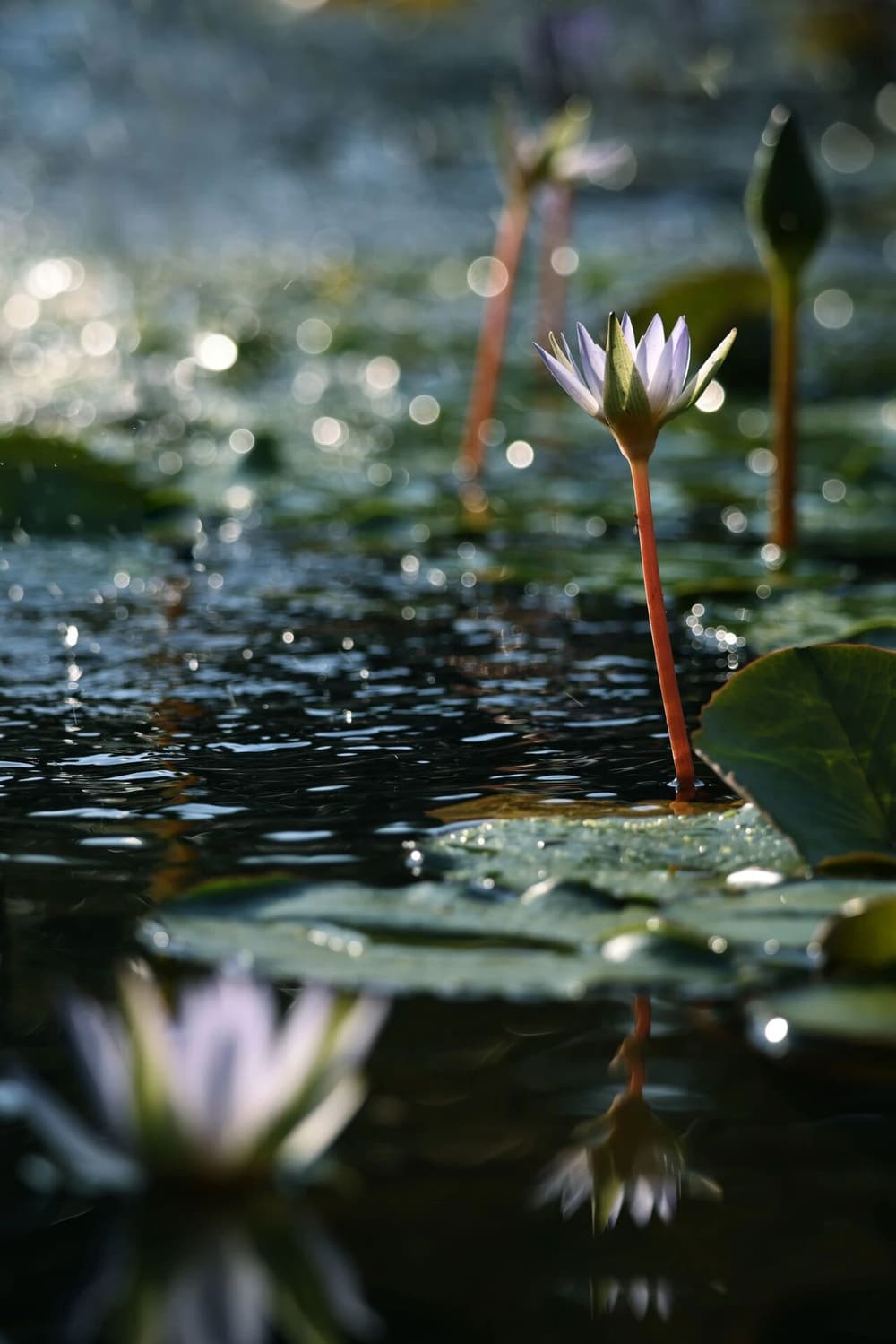 ������̴�ʦ�������Ե