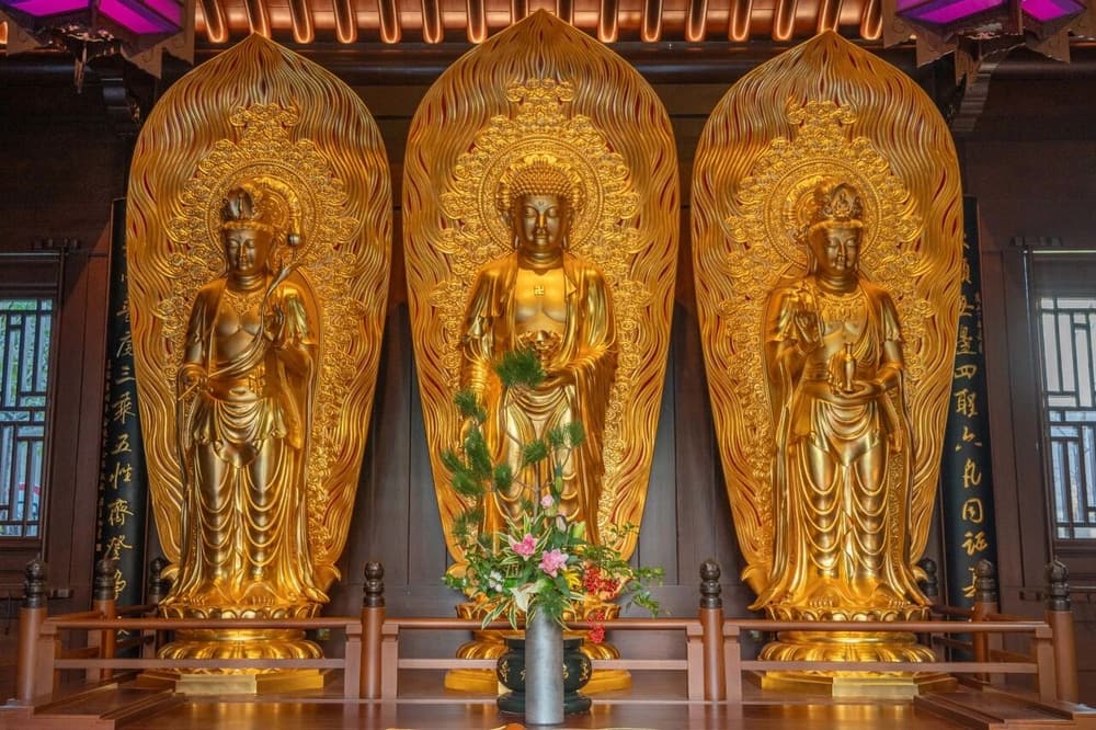 �����롢Թ�롢���������ϳ�ɫ��