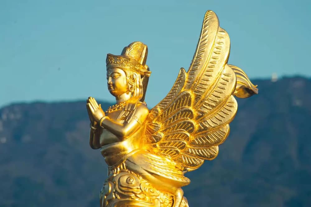 �����ǿ��Ը���ģ���Ϊ�ҿգ�����