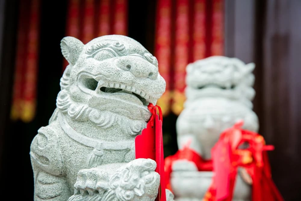 ��ʳ�����еĹ�ϵ�ܴ�