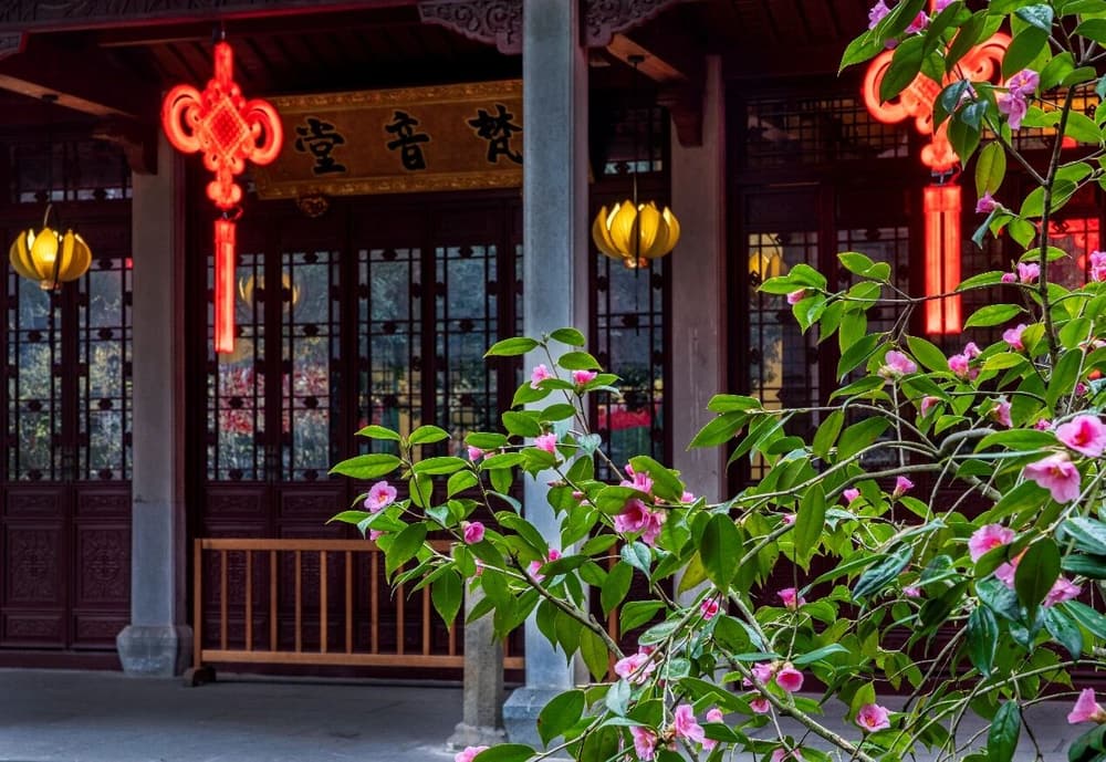 ��Щ������ɮ��