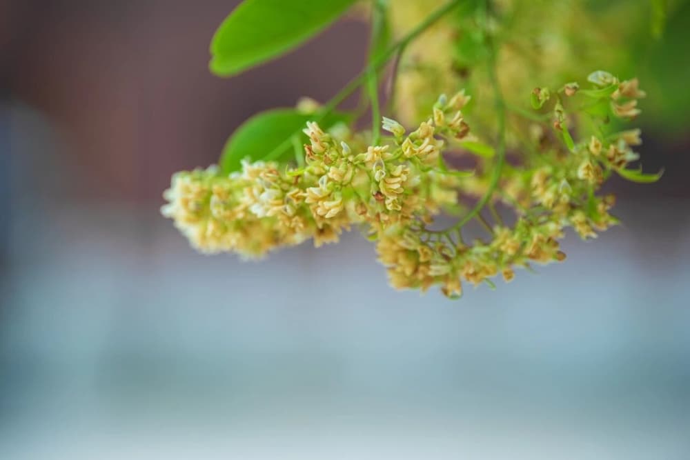 �������������ǲ�������Ϊ��Ҫ