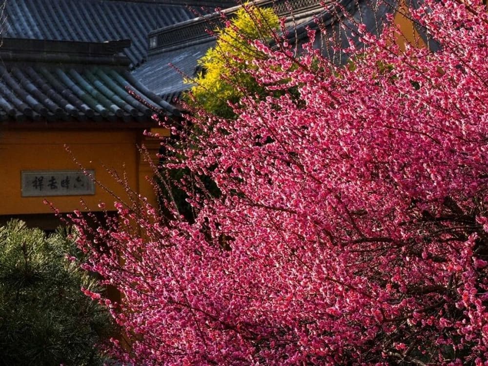 Ϊ�β���ѡ���ˮ����ʶΪ���۾�