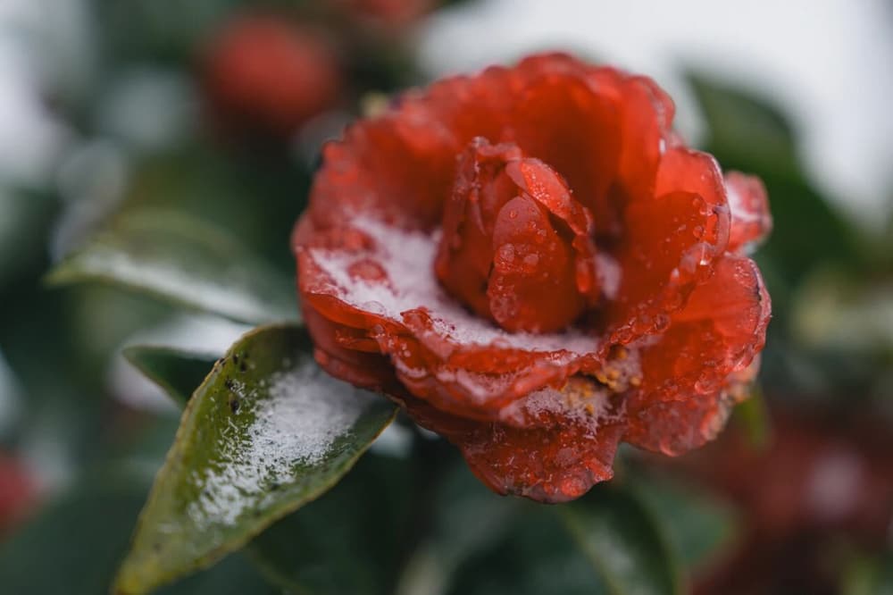 ƾʲô�����������ȴ�ж���������