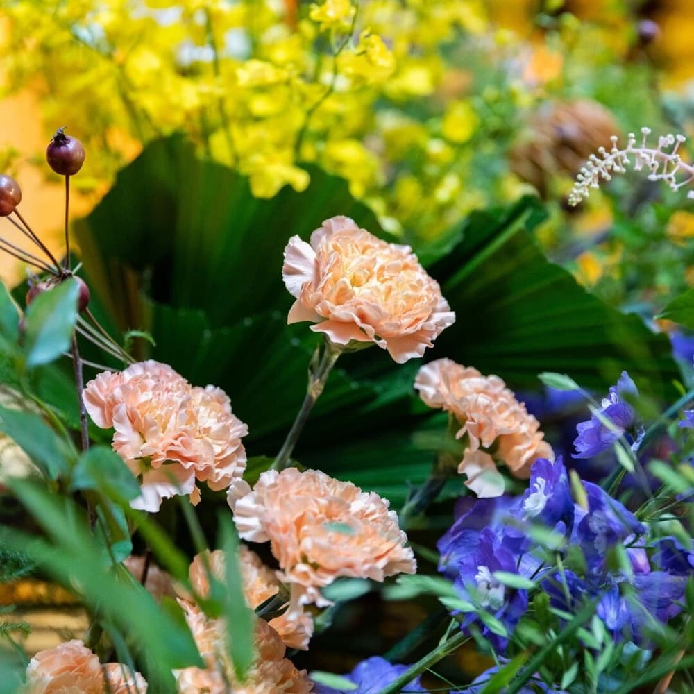 �Ȼ����������֣��ֻ�������������Ƿ��編