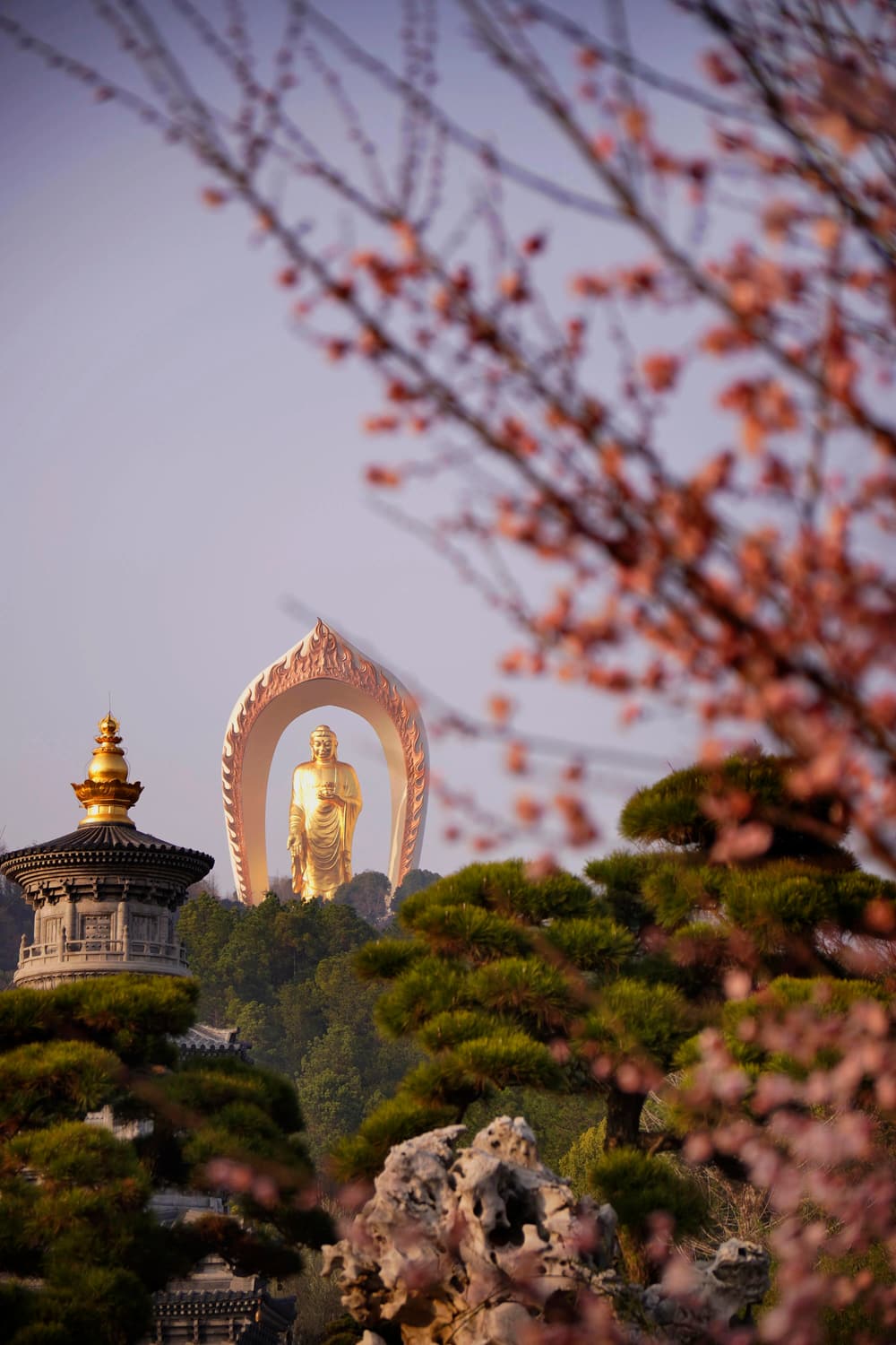 �������������ʲô���Ĺ�ʧ�أ�Ӧ��ζ���