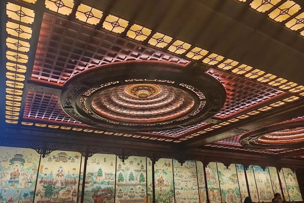 Ϊʲô�ܶ���������